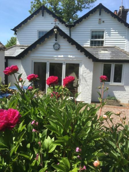Wishing Well Cottage Wilmington  Экстерьер фото